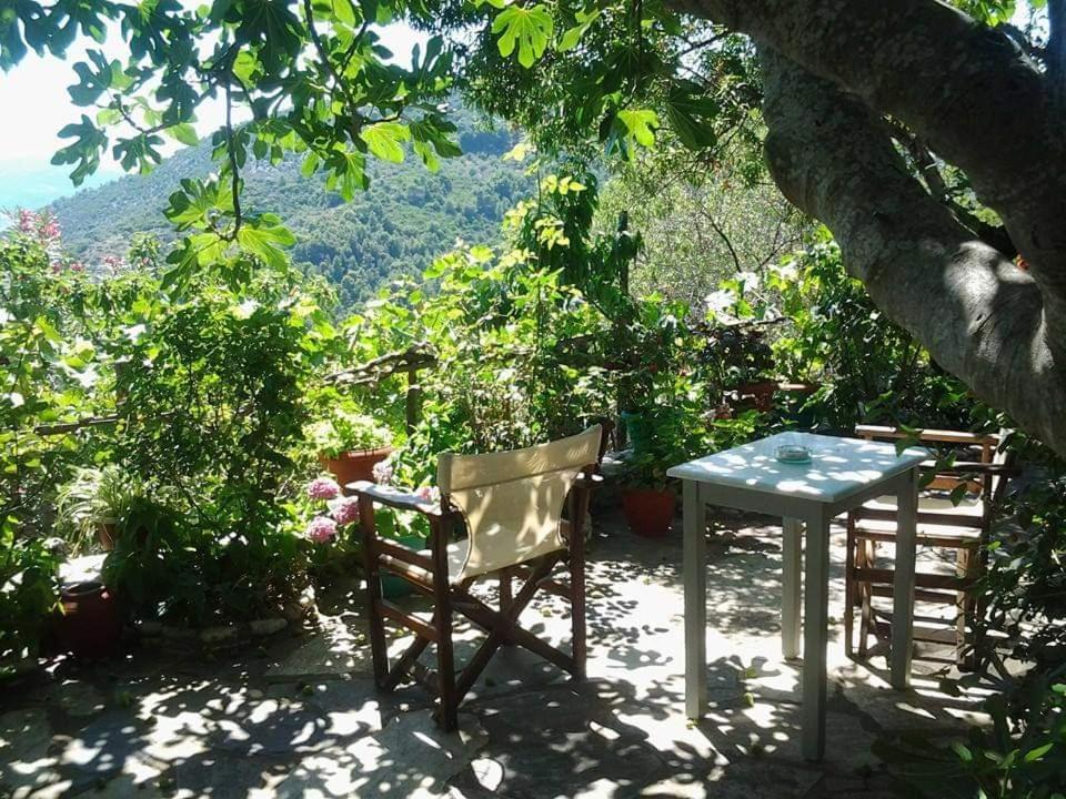 Villa Panayiota Kırlangıç Dış mekan fotoğraf