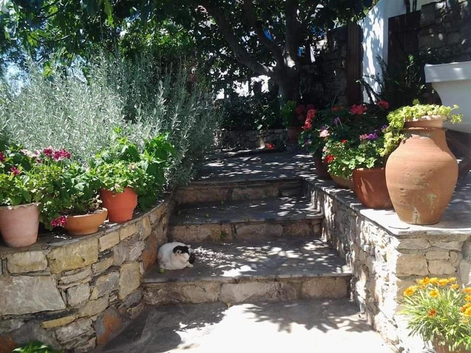 Villa Panayiota Kırlangıç Dış mekan fotoğraf