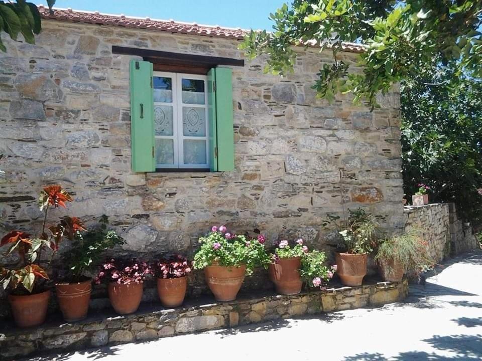 Villa Panayiota Kırlangıç Dış mekan fotoğraf
