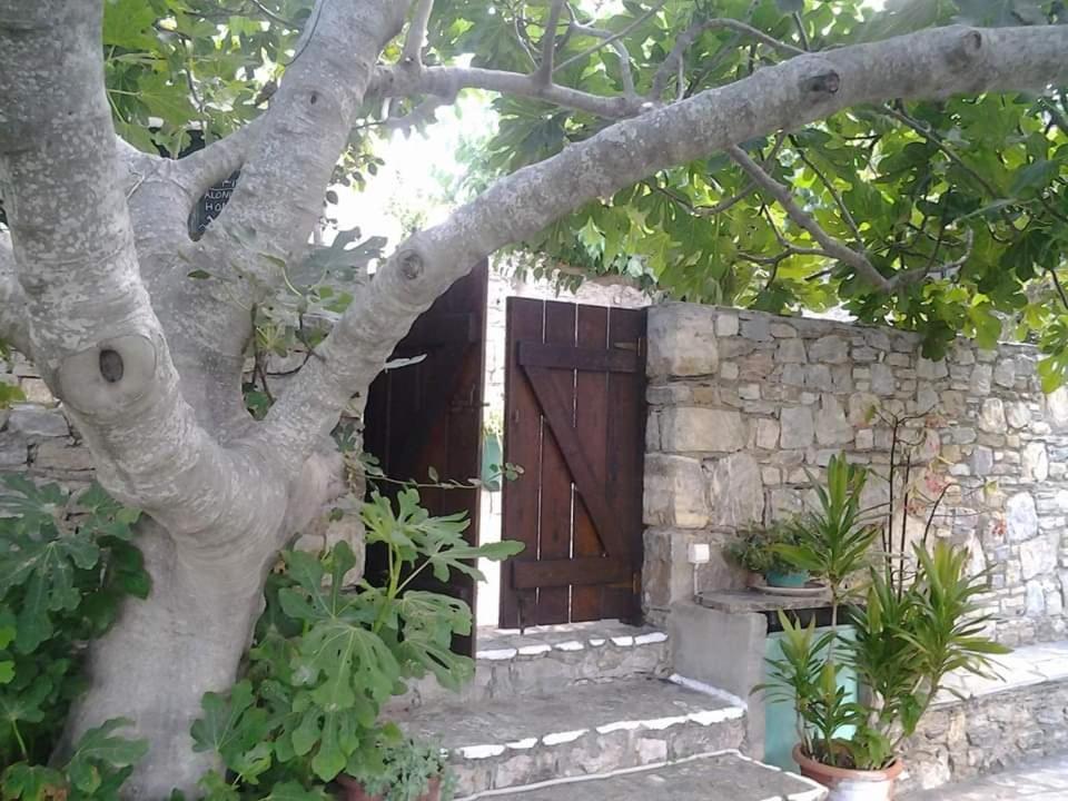 Villa Panayiota Kırlangıç Dış mekan fotoğraf