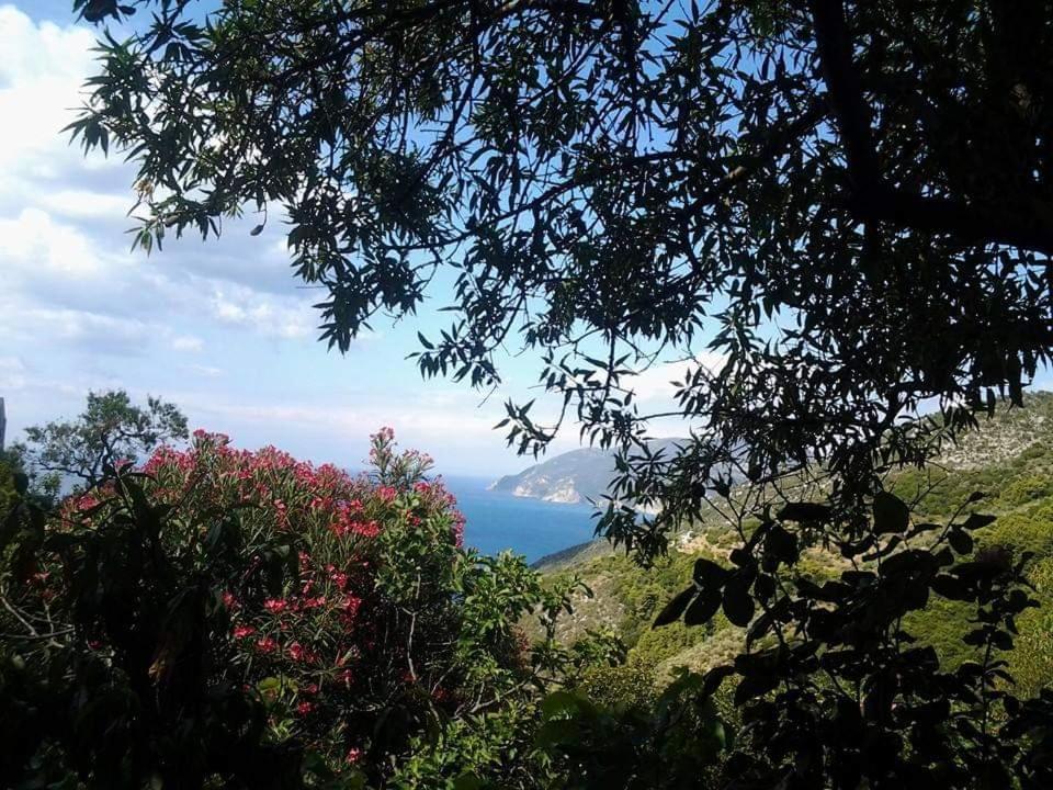 Villa Panayiota Kırlangıç Dış mekan fotoğraf