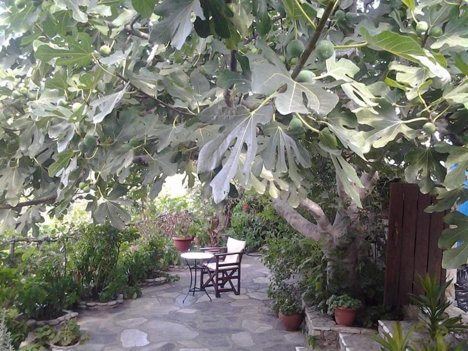 Villa Panayiota Kırlangıç Dış mekan fotoğraf
